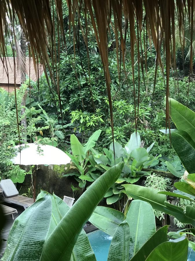 Kailash Bali Ubud  Exterior photo